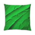 thumbnail image 2 of Ahgly Color Focus Green Company Coussin d'Extérieur, 18 Pouces par 18 Pouces, 2 of 6