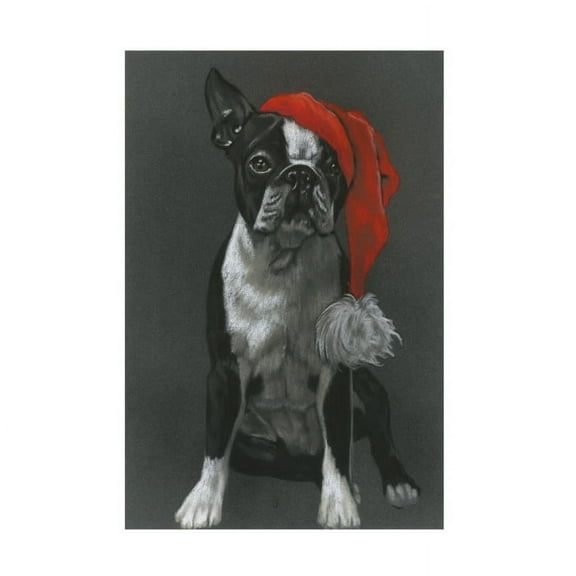 Barbara Keith 'Boston Pixie' Canvas Art