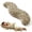 Leopard Print, variant on Pea Pod Body Pillow for Side Sleeper, Pea Pod Body Pillow for Adults, Long Bolster Hug Pillow with Cooling Fabric, Soft Ergonomic Pillow for Back, Hip & Leg Support
