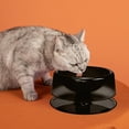 thumbnail image 4 of Cuenco para gatos, cuenco para perros, cuenco de comida para gatos, protección de las vértebras cervicales para evitar que se vuelque el cuenco de comida para mascotas, 4 of 5