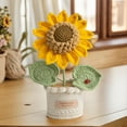 thumbnail image 6 of CARRFA Hand-Woven Crochet Knitted Potted Plants, Creative Mini Simulation Crocheted Potted for Home DIY Desktop Decorations Gifts for Friends, Lovers, Classmates, 6 of 9