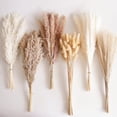 thumbnail image 6 of ZHUYING 110 PCS Dried Pampas Grass Bouquet, Boho Table Decor, Bunny Tails Dried Flowers, Brown Pompas, White Pampas Grass for Wedding, Home, Rustic Party, Baby Shower Decorations, 6 of 7