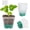 Green, variant on ASDIIT Seed Starter Pots Square Blue Plastic Plant Pot with Reusable (12 Count)