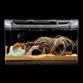 thumbnail image 2 of Plat d'Alimentation pour Reptiles, Simulation de Roche, Bol Anti-Fuite pour Reptiles, 2 of 9