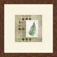 Fern Impressions I Print