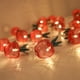thumbnail image 1 of Guirnalda de 20 luces LED de manzana, de malla metálica y funciona con pilas, ideal para dormitorio, boda, interior/exterior, fiesta, 1 paquete, 3 metros de largo., 1 of 5