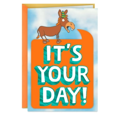 Hallmark Maxine Funny Birthday Cards Assortment (5 Cards with Envelopes ...