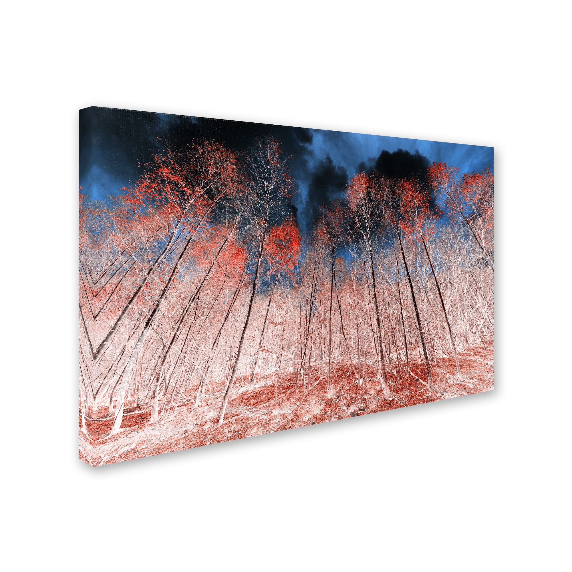 Trademark Fine Art "First Show" Canvas Art by Philippe Sainte-Laudy