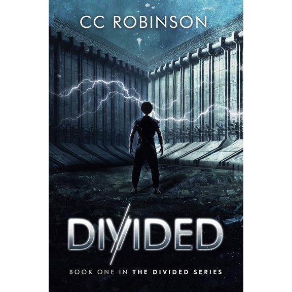 Divided Divided, Book 1, (Paperback)