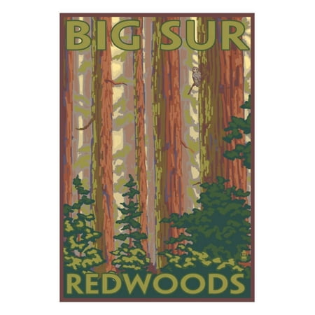Big Sur, California - Redwoods Print Wall Art By Lantern (Best Place To See Redwoods In Big Sur)
