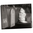 thumbnail image 2 of Gango Home Decor Special Delivery I by Scott Larson (Ready to Hang); One 28x22in Hand-Stretched Canvas, 2 of 4