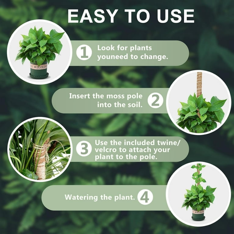 60 Inch Moss Pole for Plants, Bendable Moss Pole for Plants Monstera, Tall  Moss Poles for Climbing Plants Indoor, LargeSupport, Garden Trellis Stick  ...