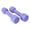 Purple, variant on 1 Pair Lightweight Dumbbells Sensory Training Hand Weights For Home Motor Skill Training(Purple-19Cm)