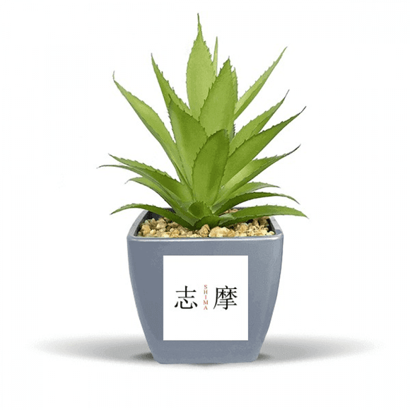 Shima Japaness City Name Red Sun Flag Fake Pineapple Flower Pot Vase Mini Decor