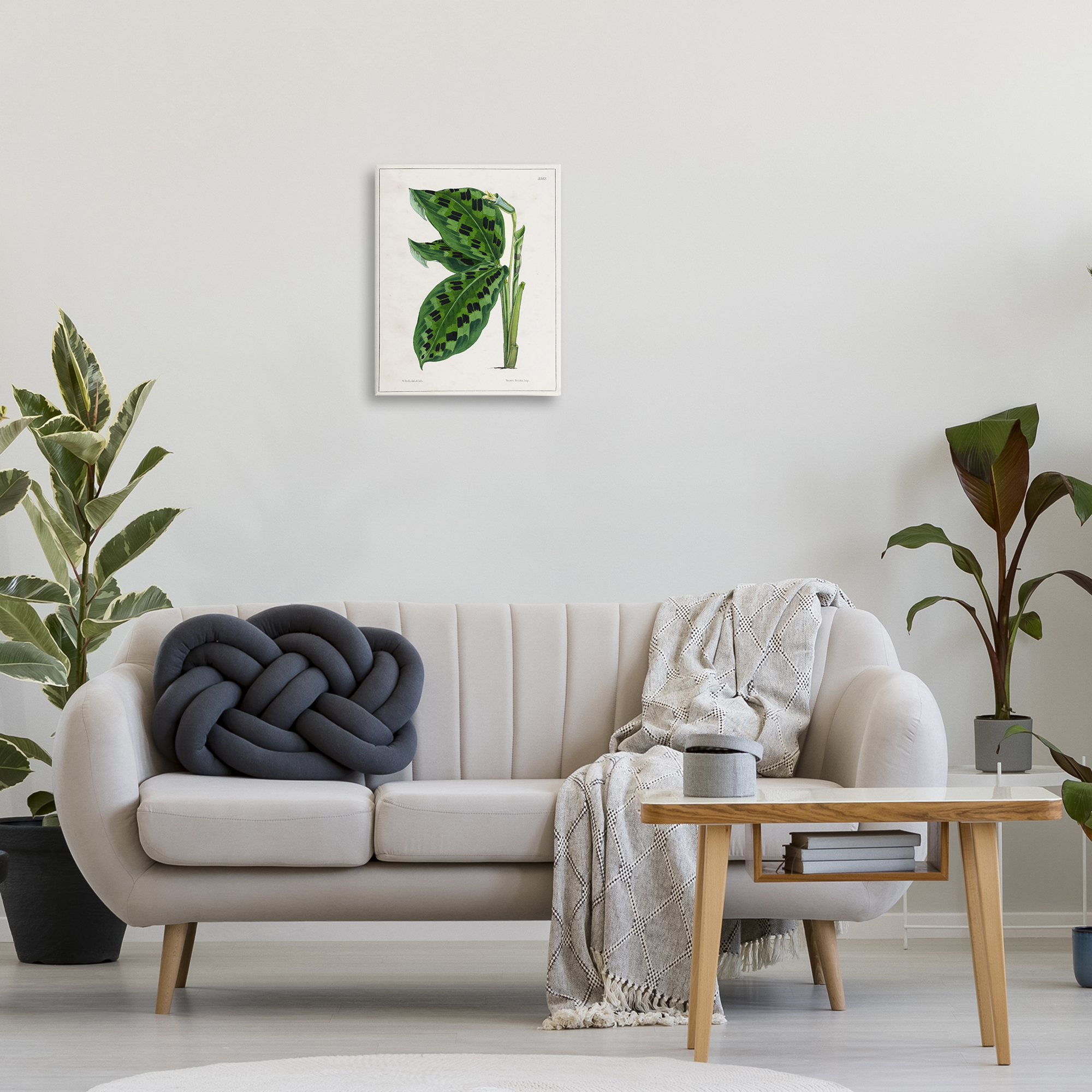 Stupell Industries Lush Plant Leaf Study Plants & Flowers Painting Wrapped Canvas Art Print Wall Art, 16 x 20
