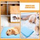 thumbnail image 3 of BESTYASH Breathable Dog Mat Color Azul Para Uso En Interiores Y Exteriores Con Tela Duradera, 3 of 6