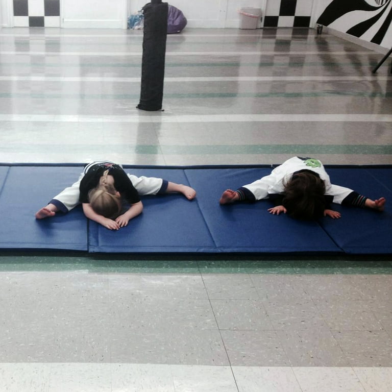 Greatmats Folding Vinyl and Foam Gymnastics Mat 4 ft. x 8 ft. x 2 in.