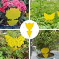 thumbnail image 2 of Fruit Fly Traps Fungus Gnat Traps Yellow Sticky Bug Traps 10 Pack No Harm and Odorless for Indoor Outdoor Use Protect The Plant zevo flying insect trap bug catcher, 2 of 4