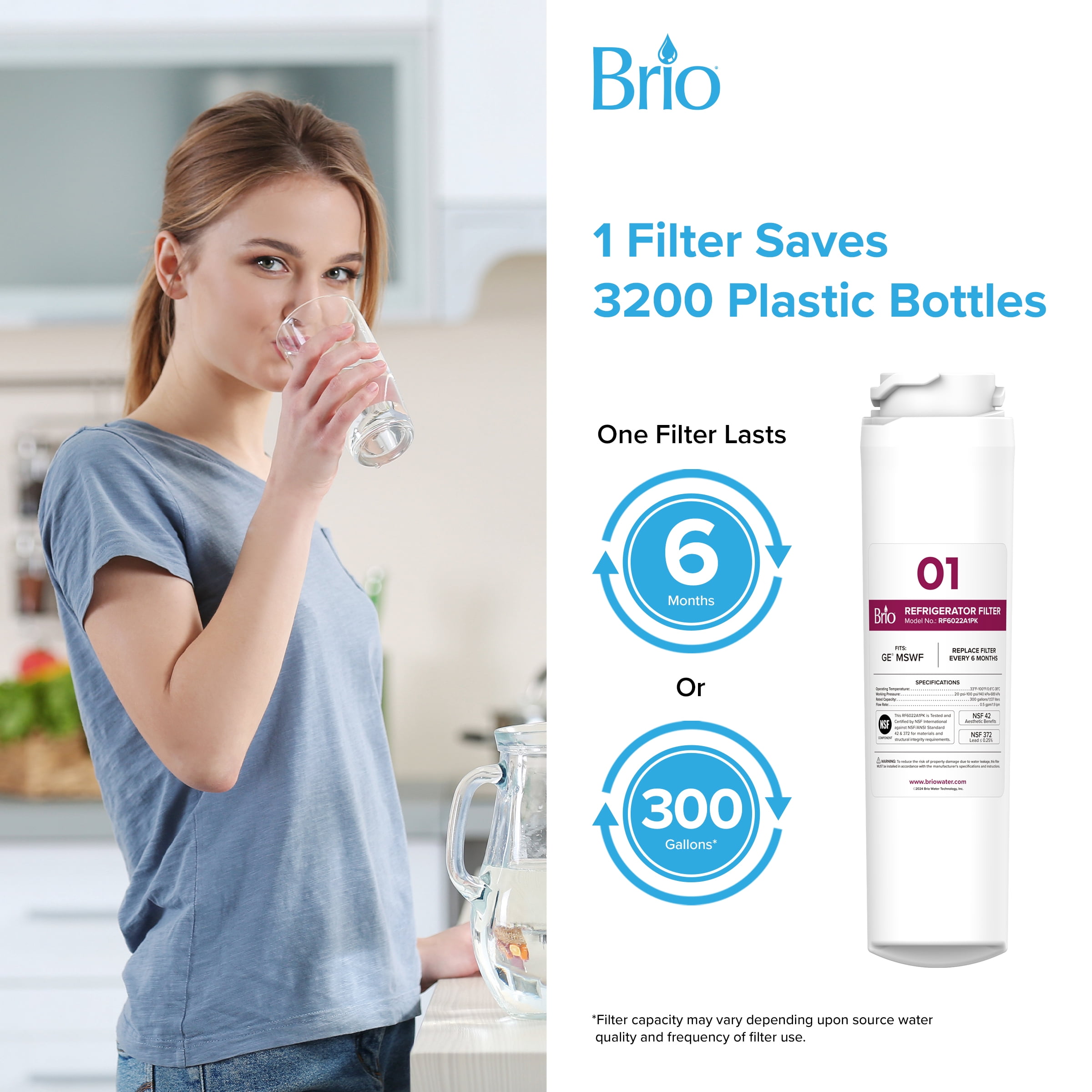 Brio 6022A Refrigerator Water Filter Replacement Compatible With GE MSWF, 101820A, 101821B, RWF1500A
