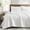 Arctic White-King, variant on Basil Green Twin 3-Piece All Season Quilt Bedding Set