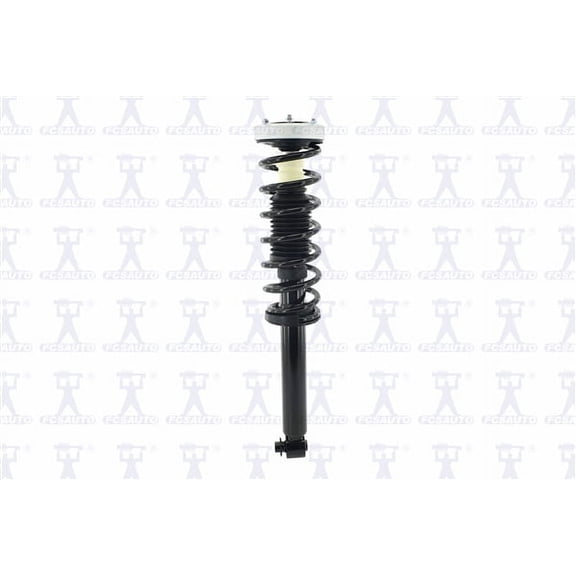 Suspension Strut and Coil Spring Assembly