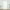 White, variant on Mouliraty Leaves Sheer Curtain Window Voile Drape Valance 1 Panel Fabric