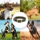 thumbnail image 5 of Dinheiro Pet Collar de perro trenzado doble, verde cazador, 1 x 21 pulgadas, 5 of 5