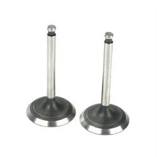Saito Engines 220A46 Valve (In & Out) Pair: AD, AE