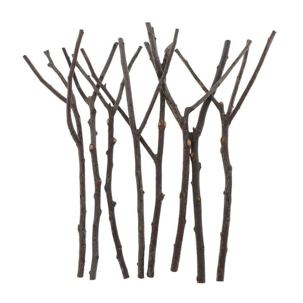 8Pcs Natural Branch Twigs Tree Pieces Dried Plants for dding Home Vase