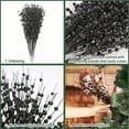 thumbnail image 5 of 10Pcs Artificial Glitter Berry Stems, Black Halloween Christmas Decoration Twisted Glittery Twigs, Christmas Tree Picks, Branches for Xmas Decor Small Vase Holiday Wedding Party (17 Inch), 5 of 8