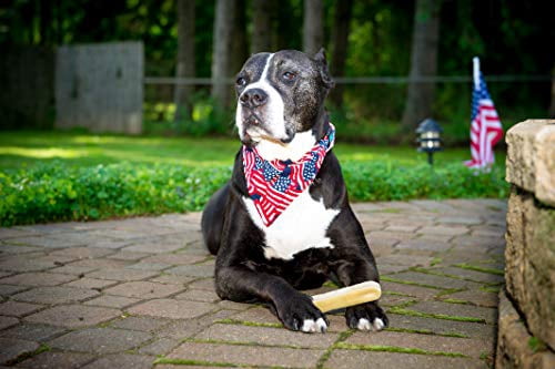 Devil Dog Pet Co Himalayan Yak Cheese Dog Chews for Aggressive Chewers, Large, 3 Pack