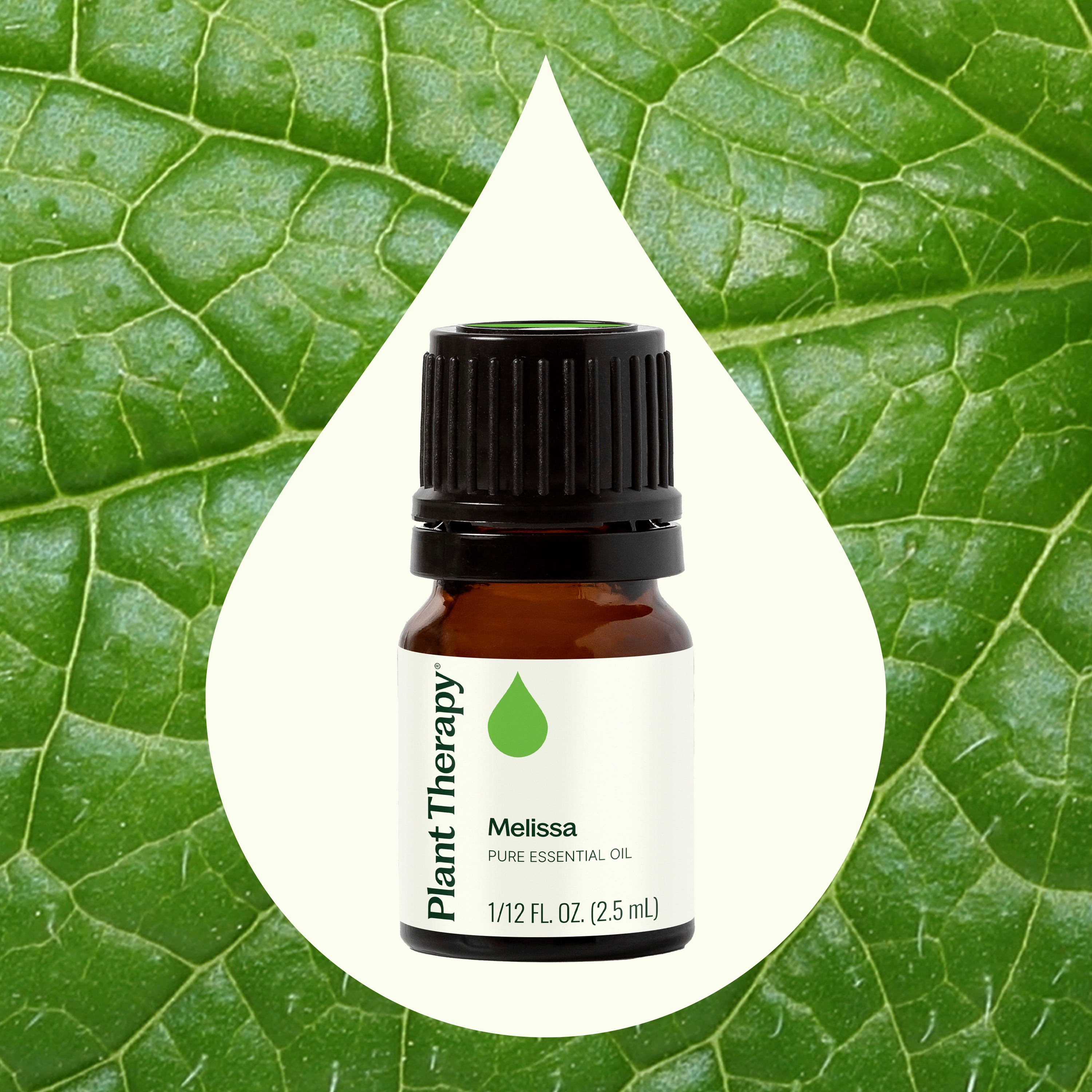 Plant Therapy Melissa Essential Oil 2.5 mL (1/12 oz) 100% Pure, Undiluted, Natural Aromatherapy