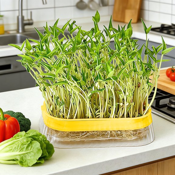 Home Soil-Free Hydroponic Growing Trays - Clear Transparent Seedling Tray, Perfect Hydroponic Planting Box for Easy Harvest Germination Use