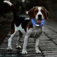 thumbnail image 5 of Collar luminoso para perros 2 piezas de collar luminoso para perros recargable por USB, 5 of 5