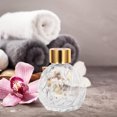 thumbnail image 2 of Shisuyan 2pcs 100ml Clear Glass Diffuser Bottles with Screw Caps Decorative Aromatherapy Containers Reed Oil Fragrance Holder for Home Living Room & Bedroom, 2 of 8