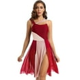 thumbnail image 1 of TiaoBug Robe Justaucorps Sans Manches Patchwork Coloré Moderne Contemporain pour Femmes Costume de Danse de Salon Bourgogne TP, 1 of 7