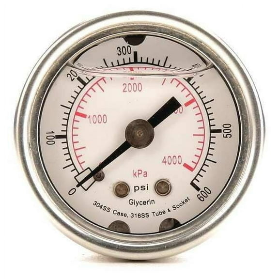 Pressure Gauge, 0 to 600 psi, 1/8 in MNPT, Stainless Steel, Silver(4CFN1)