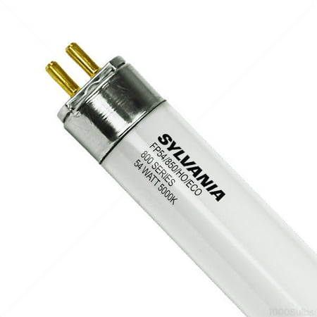 https://i5.walmartimages.com/asr/f28761e3-be6a-4649-b260-a938daa141a9_1.b9b07ca6c43b20235d4065ffaff4f8ff.jpeg?odnHeight=450&odnWidth=450&odnBg=ffffff