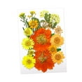 thumbnail image 2 of Flores prensadas secas, juego de flores de , hermosa artesanía, fabricación de velas, Material de fabricación DIY para pantallas de , Mezclar amarillo, 2 of 8