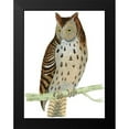 thumbnail image 2 of Morris 12x14 Black Modern Framed Museum Art Print Titled - Morris Mottled Owl, 2 of 5