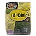 thumbnail image 2 of TifBlair Centipede Grass Seed (1 Lb.) Direct from The Farm, 2 of 4