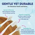 thumbnail image 2 of Doctor Plotka's - Toothbrush Adult Rose - Case Of 6-1 Ct, 2 of 8