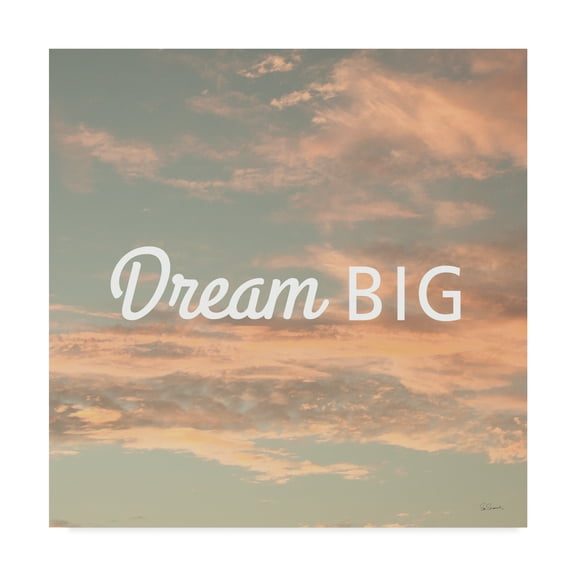 Trademark Fine Art 'Sea Inspiration III v2' Canvas Art by Sue Schlabach