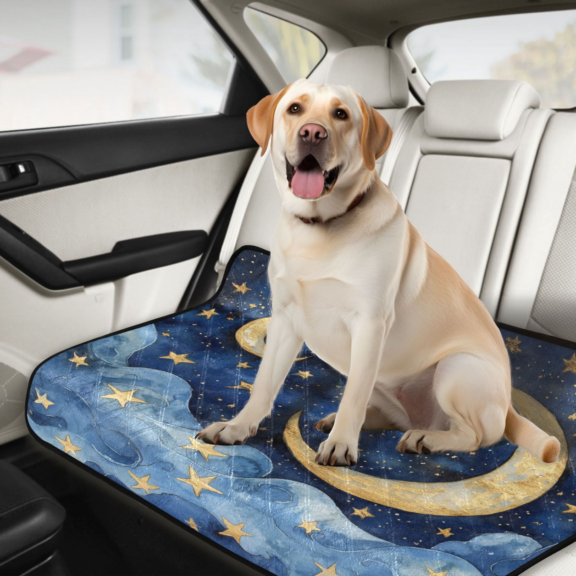 Qxltty Cloudy Sea Night Sky Cat litter Pads Pet Set of 3 Diaper Mats Center Anti-leakage Layer Absorbent Soft and Comfortable