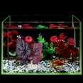 thumbnail image 6 of ABPETE betta leaf hammock,Betta Fish Toys 2 Pack,Leaf Pad Hammock, Silk Lounger, Plastic Aquarium Plants Accessories, Fish Tank Decorations, 6 of 9