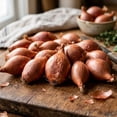 thumbnail image 3 of 1 Lb Shallot Bulbs, Outdoor Shallot Planting, Small Plant for Garden Bed or Container Growing, 3 of 6