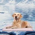 thumbnail image 3 of Cat Pads Summer Mat for Dogs and Cats Breathable Washable Pet Self Pad Reusable Ice Silk Comfortable Indoor Pet Bed, 3 of 3