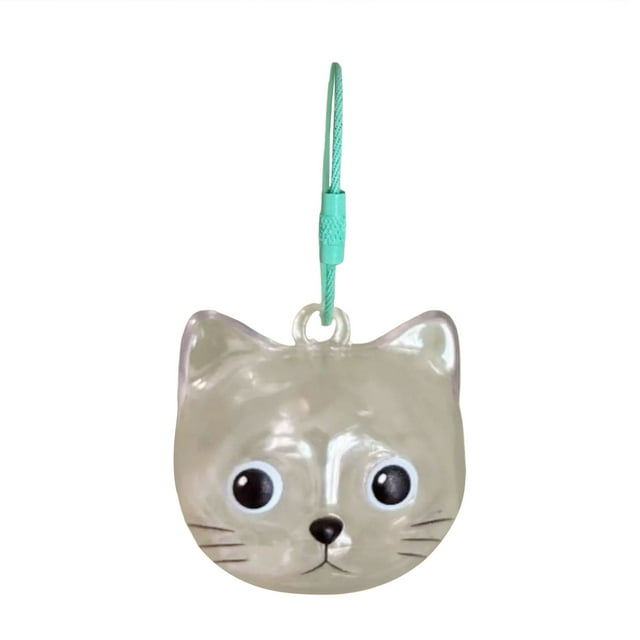 Porte-clés Commémoratif pour Cheveux Charme Souvenir pour Chats Rangement Idée Unique pour Amoureux 1 Pce