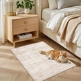 thumbnail image 3 of 2x3 Area Rugs Living Room Rug: Washable Vintage Boho Rug No Slip Stain Resistant Soft Carpet Indoor Floor Floral Large Carpets for Bedroom Dining Room Farmhouse Nursery Hallway Home Office Beige, 3 of 17