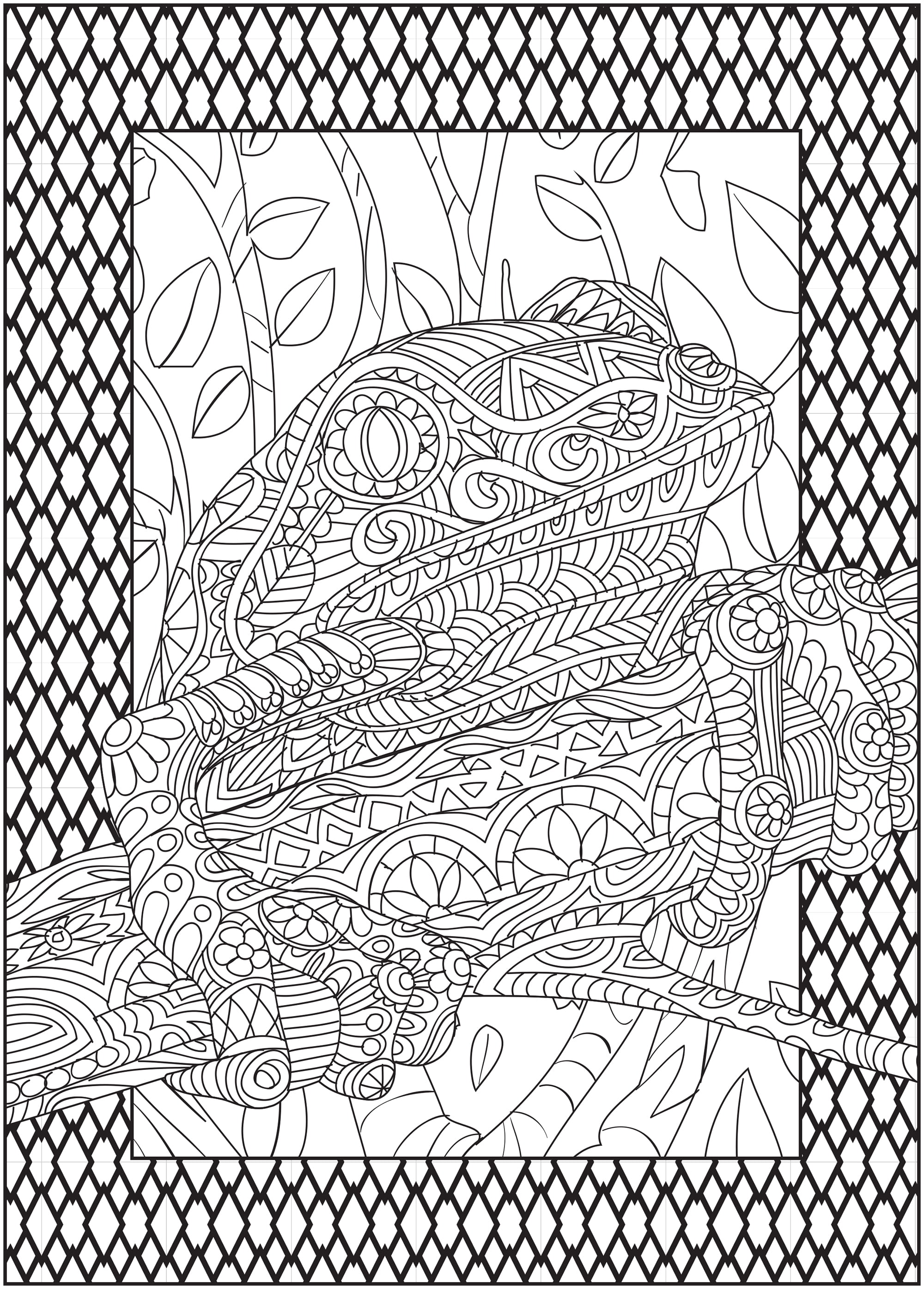 Timeless Creations: Creatures of Beauty by Donna  Coloring books, Colorful  art, Coloring book pages